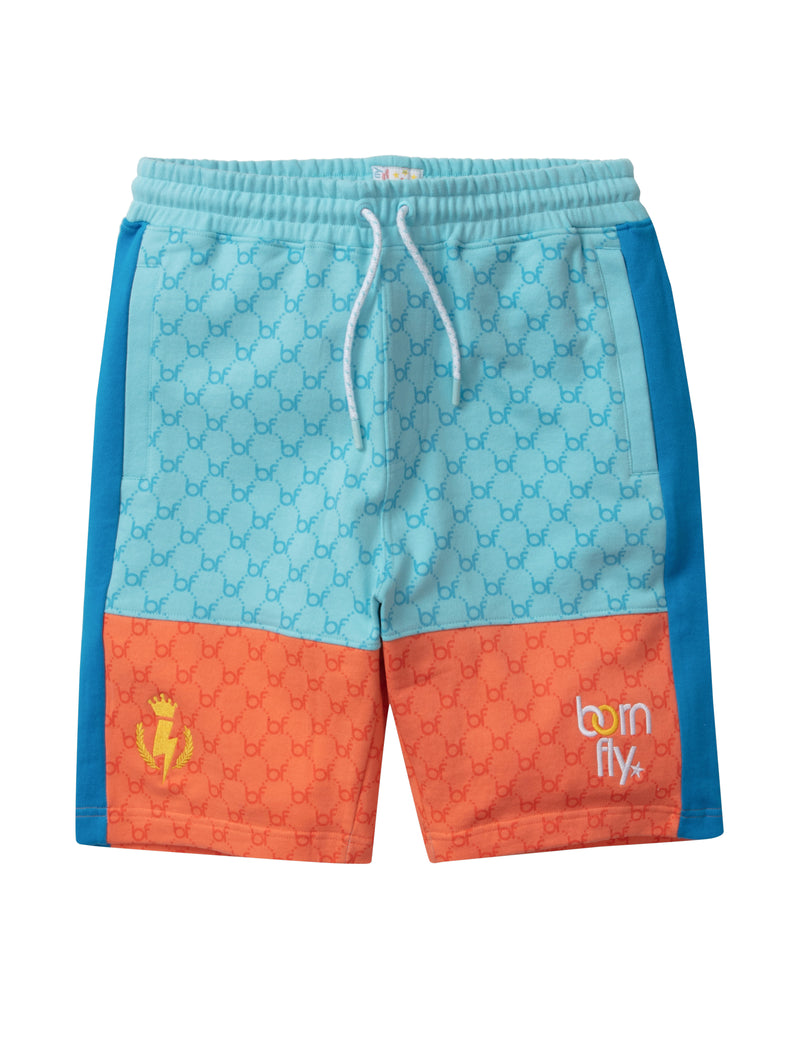 Supremely Fly Shorts