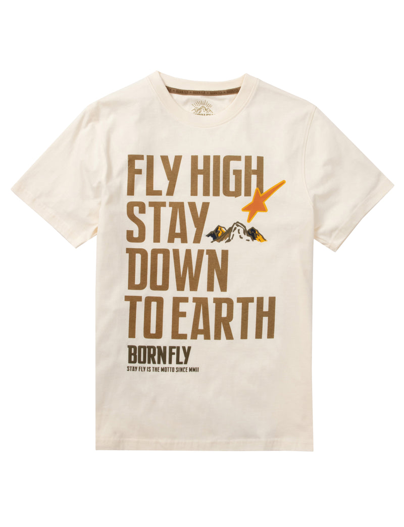 Big & Tall - Ice High Tee