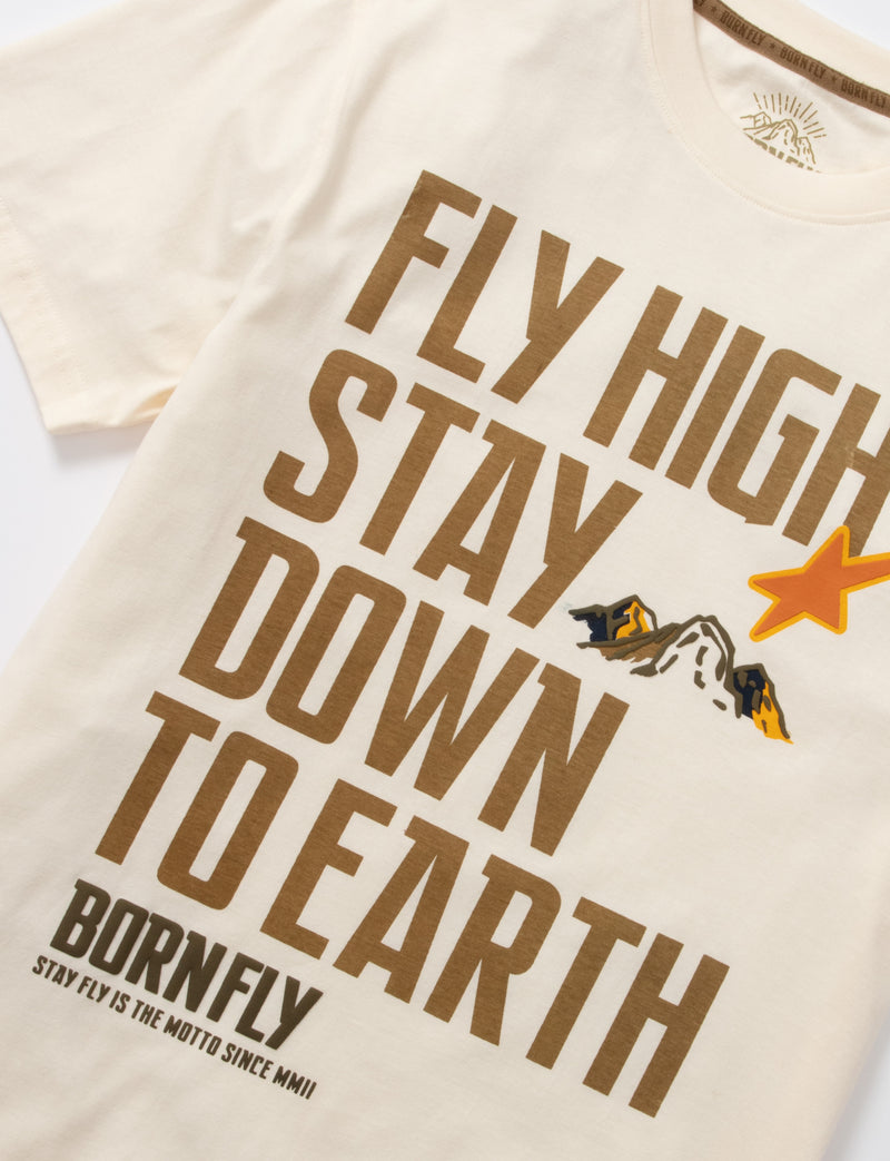 Big & Tall - Ice High Tee