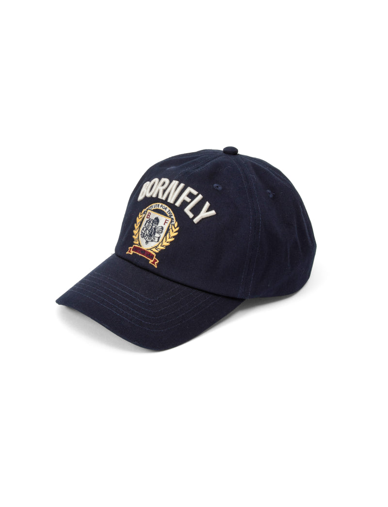 Fly Dad Cap