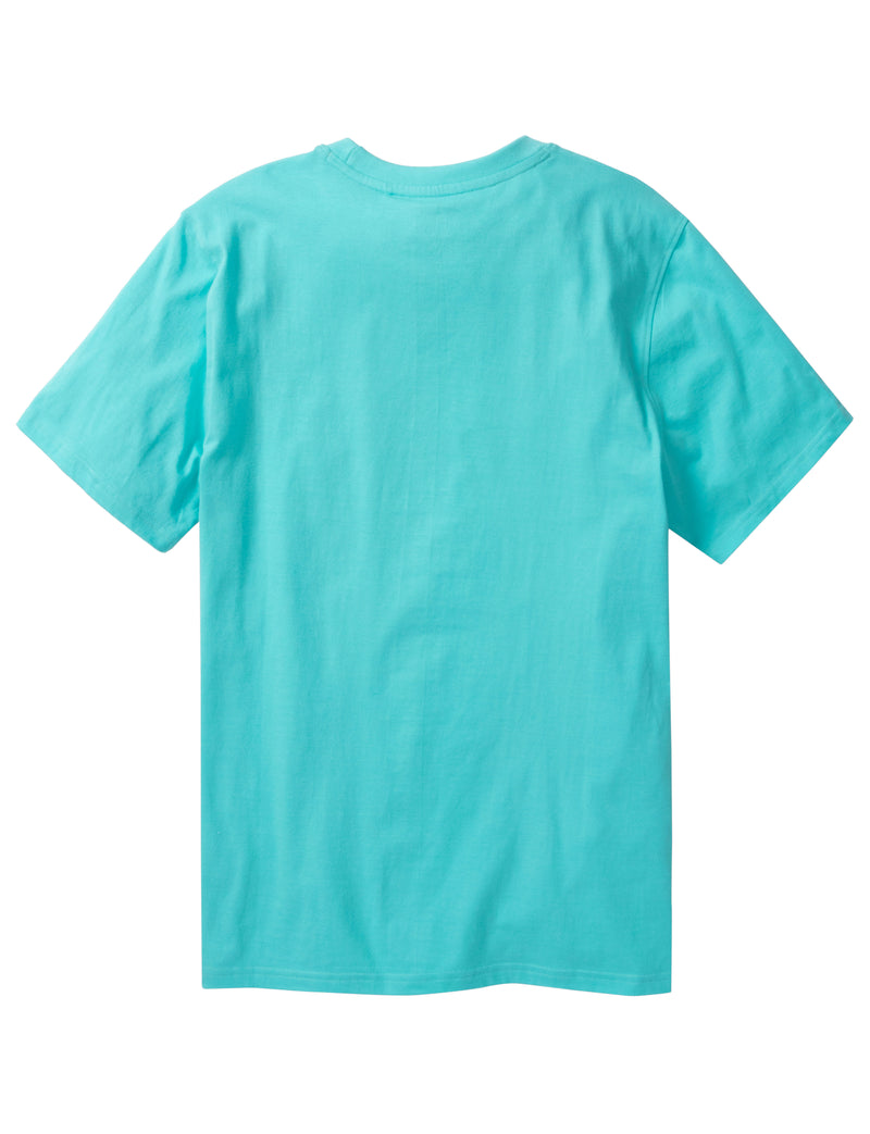 Silver Sprung Tee