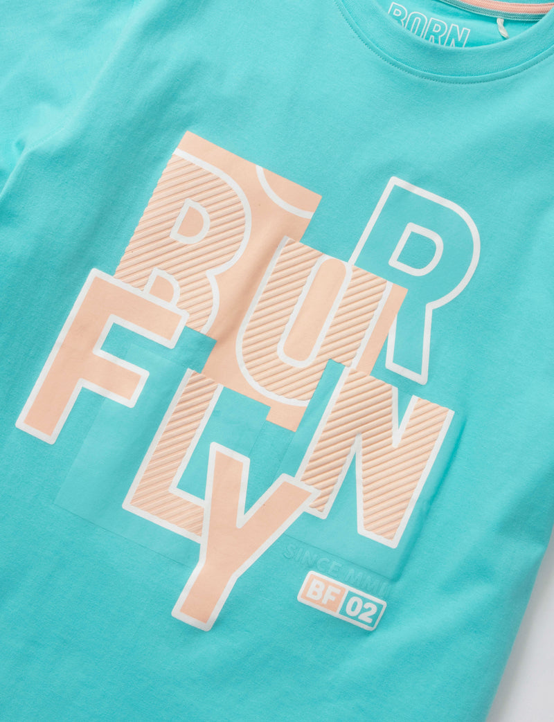 Silver Sprung Tee