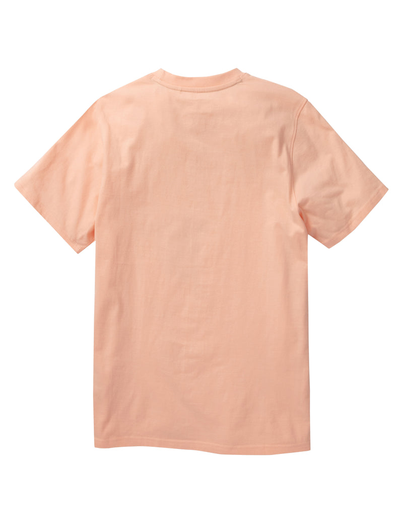 Silver Sprung Tee